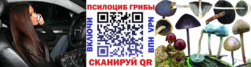 продажа наркотиков Краснотурьинск Галлюциногенные грибы прущие грибы